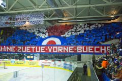 Kloten - Davos, 21.01.2017