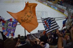 Langnau - Kloten, 22.01.2016